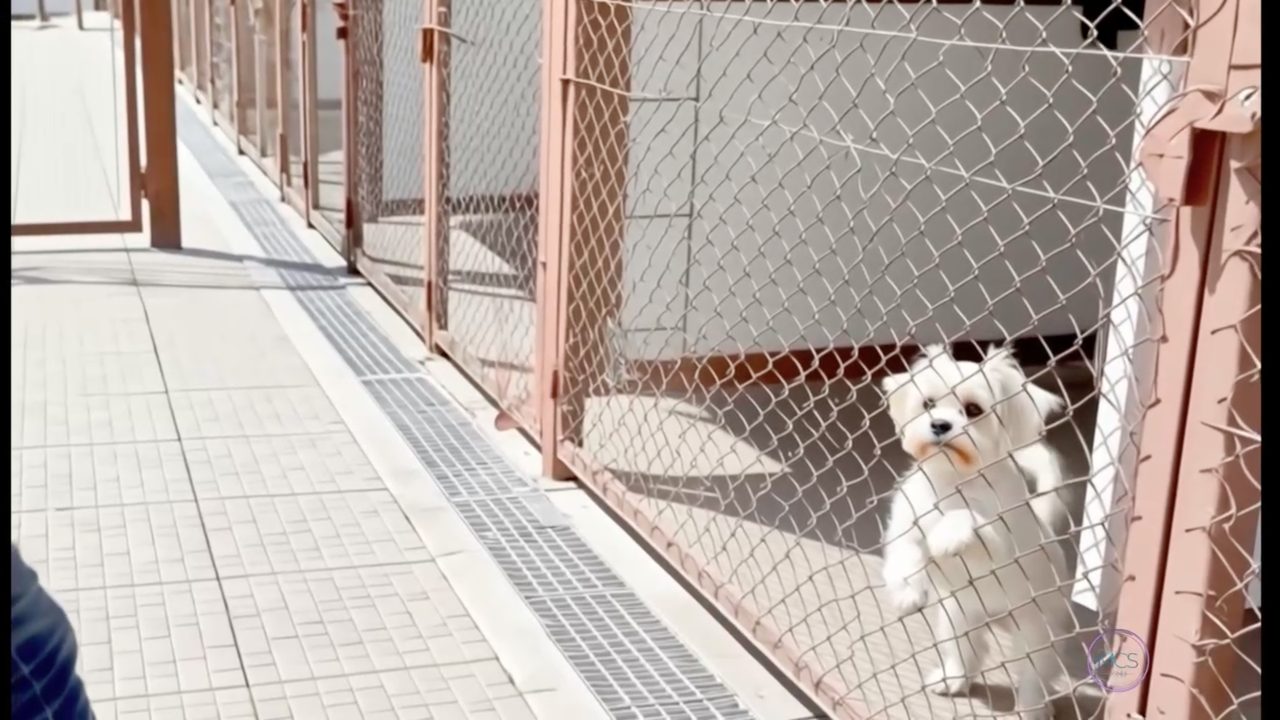 Δείγμα δουλειάς 3